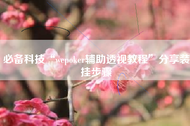 必备科技“wepoker辅助透视教程”分享装挂步骤 必备科技“wepoker辅助透视教程”分享装挂步骤