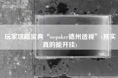 玩家攻略宝典“wepoker德州透视”(其实真的能开挂)