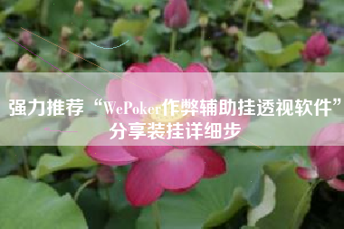强力推荐“WePoker作弊辅助挂透视软件	”分享装挂详细步