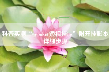 科普实测“wepoker透视挂ios	”附开挂脚本详细步骤