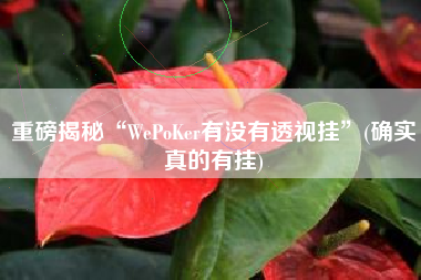 重磅揭秘“WePoKer有没有透视挂	”(确实真的有挂)