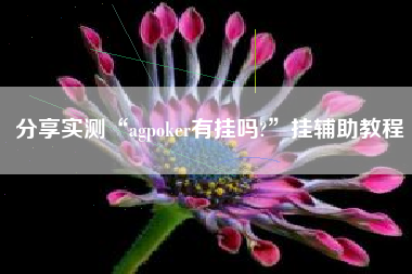 分享实测“agpoker有挂吗?”挂辅助教程