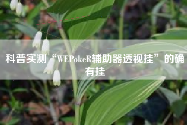科普实测“WEPokeR辅助器透视挂	”的确有挂
