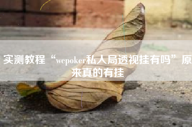 实测教程“wepoker私人局透视挂有吗”原来真的有挂