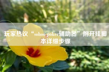 玩家热议“sohoo poker辅助器”附开挂脚本详细步骤