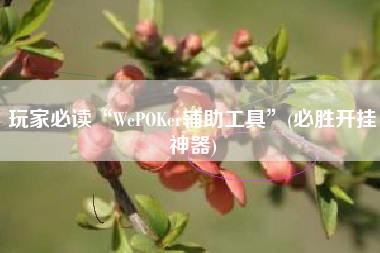玩家必读“WePOKer辅助工具	”(必胜开挂神器)