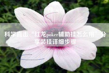 科学直击“红龙poker辅助挂怎么用”分享装挂详细步骤