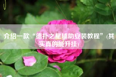 介绍一款“德扑之星辅助安装教程	”(其实真的能开挂)