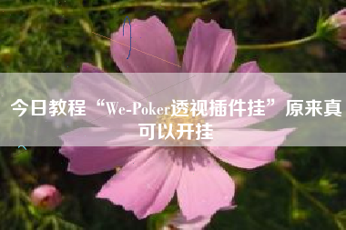 今日教程“We-Poker透视插件挂”原来真可以开挂
