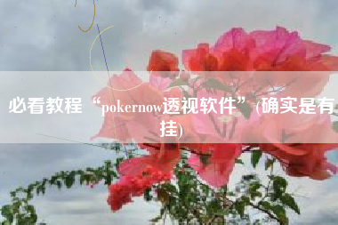 必看教程“pokernow透视软件”(确实是有挂)