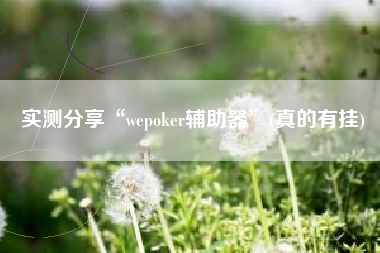 实测分享“wepoker辅助器	”(真的有挂)