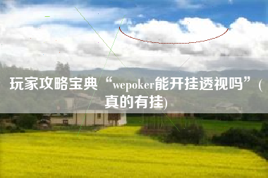 玩家攻略宝典“wepoker能开挂透视吗”(真的有挂)