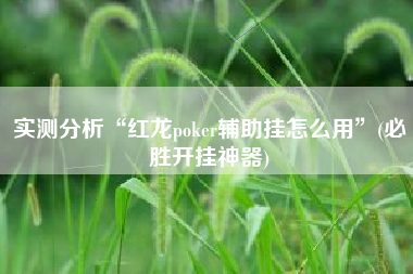 实测分析“红龙poker辅助挂怎么用”(必胜开挂神器)