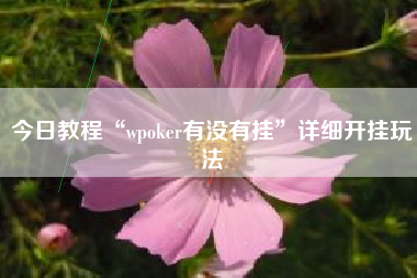 今日教程“wpoker有没有挂”详细开挂玩法