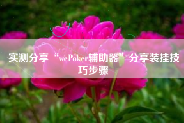 实测分享“wePoker辅助器”分享装挂技巧步骤