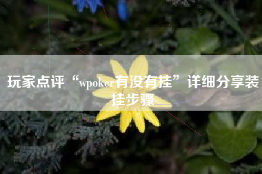 玩家点评“wpoker有没有挂”详细分享装挂步骤
