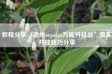 教程分享“德州wepoker万能开挂器”真实开挂技巧分享