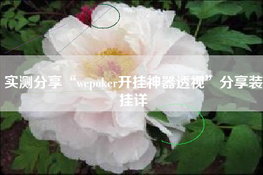 实测分享“wepoker开挂神器透视	”分享装挂详