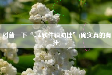 科普一下“wpk软件辅助挂	”(确实真的有挂)