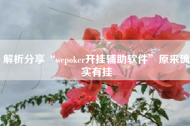 解析分享“wepoker开挂辅助软件”原来确实有挂