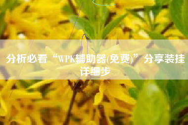 分析必看“WPK辅助器(免费)	”分享装挂详细步