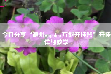 今日分享“德州wepoker万能开挂器”开挂详细教学