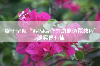 终于呈现“WePoKer作弊功能透视教程	”确实是有挂