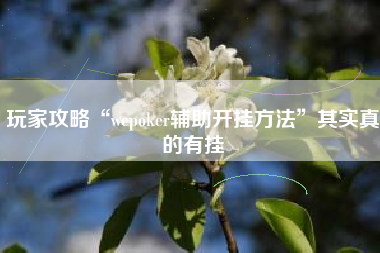 玩家攻略“wepoker辅助开挂方法”其实真的有挂