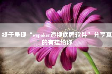 终于呈现“wepoker透视底牌软件”分享真的有挂给你