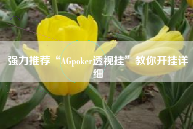 强力推荐“AGpoker透视挂	”教你开挂详细