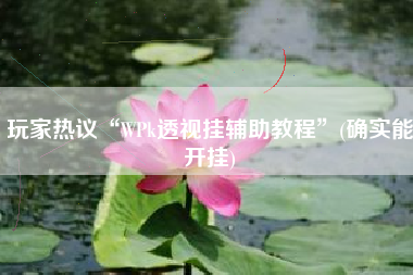 玩家热议“WPk透视挂辅助教程”(确实能开挂)