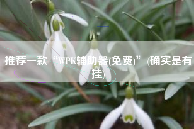 推荐一款“WPK辅助器(免费)	”(确实是有挂)