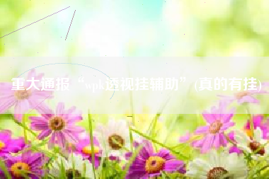 重大通报“wpk透视挂辅助”(真的有挂)