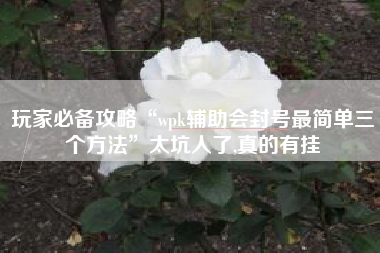 玩家必备攻略“wpk辅助会封号最简单三个方法”太坑人了,真的有挂 玩家必备攻略“wpk辅助会封号最简单三个方法”太坑人了,真的有挂