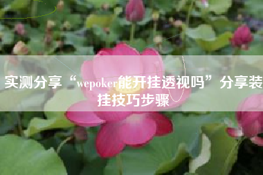 实测分享“wepoker能开挂透视吗	”分享装挂技巧步骤