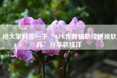 给大家科普一下“WPK作弊辅助挂透视软件”分享装挂详