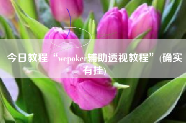 今日教程“wepoker辅助透视教程”(确实有挂)