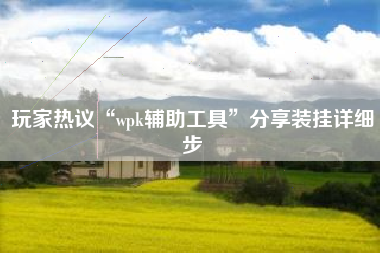 玩家热议“wpk辅助工具”分享装挂详细步