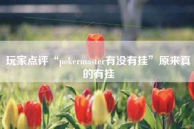 玩家点评“pokermaster有没有挂”原来真的有挂