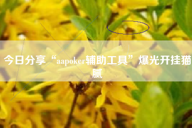 今日分享“aapoker辅助工具	”爆光开挂猫腻