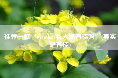 推荐一款“wepoKer私人局有挂吗”(其实是有挂)