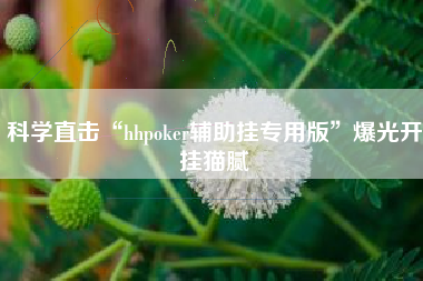 科学直击“hhpoker辅助挂专用版”爆光开挂猫腻