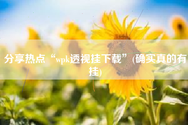 分享热点“wpk透视挂下载”(确实真的有挂)
