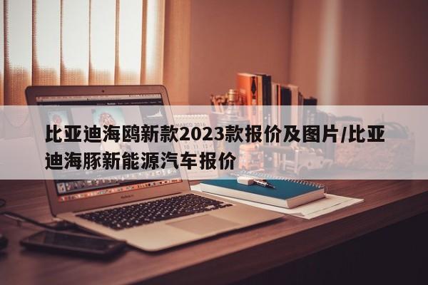 比亚迪海鸥新款2023款报价及图片/比亚迪海豚新能源汽车报价