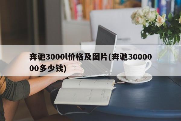 奔驰3000l价格及图片(奔驰3000000多少钱)