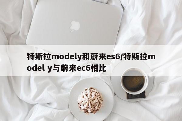 特斯拉modely和蔚来es6/特斯拉model y与蔚来ec6相比