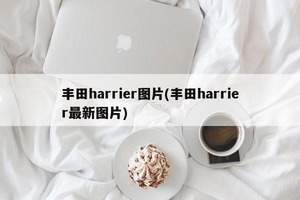 丰田harrier图片(丰田harrier最新图片)