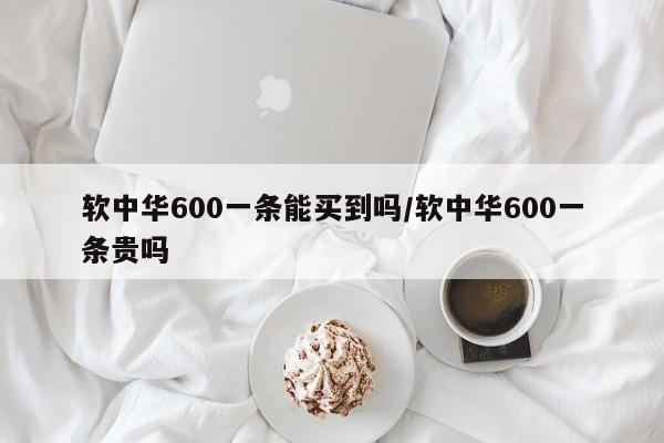 软中华600一条能买到吗/软中华600一条贵吗