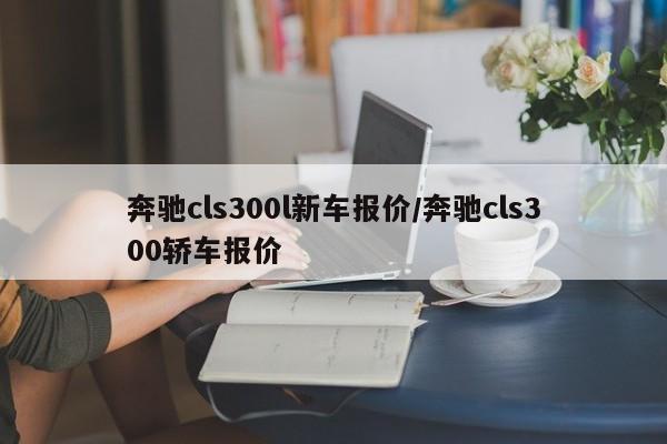 奔驰cls300l新车报价/奔驰cls300轿车报价