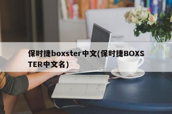 保时捷boxster中文(保时捷BOXSTER中文名)